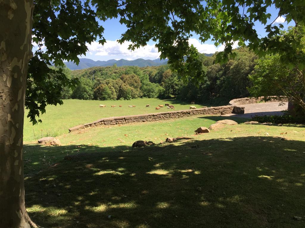 Casa Rural El Callis La Vall de Bianya Eksteriør billede